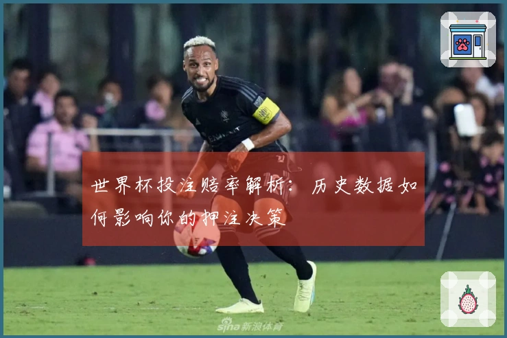 世界杯投注赔率解析：历史数据如何影响你的押注决策